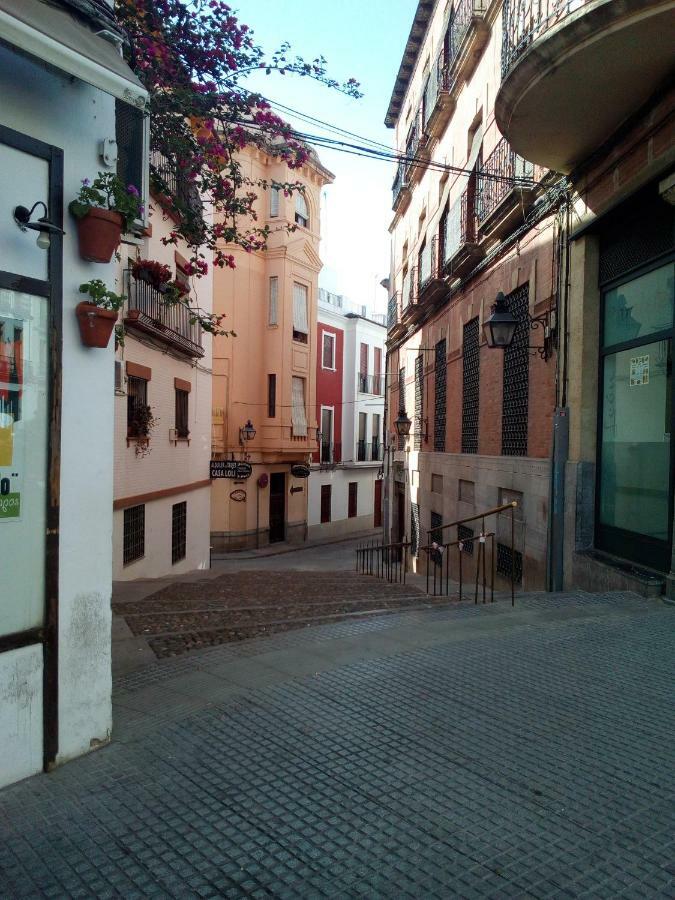 Vivienda Turistica Templo Romano Cordoba Exterior photo
